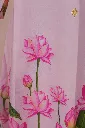 DSC07030.webp